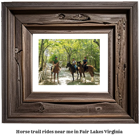 horse trail rides near me in Fair Lakes, Virginia